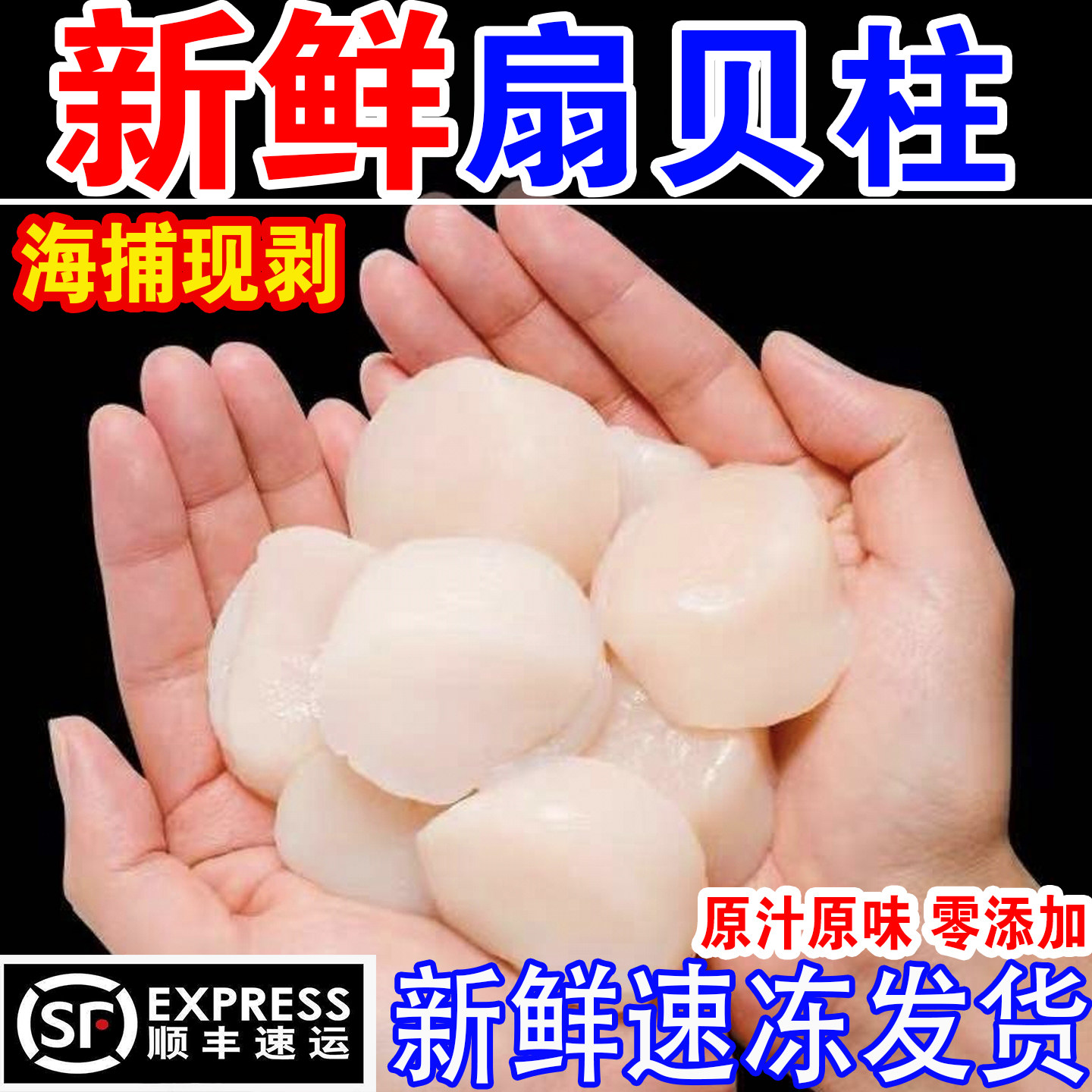 新鲜瑶柱扇贝柱瑶柱鲜贝柱鲜活现剥冷冻冰鲜速冻元贝丁带子肉海鲜