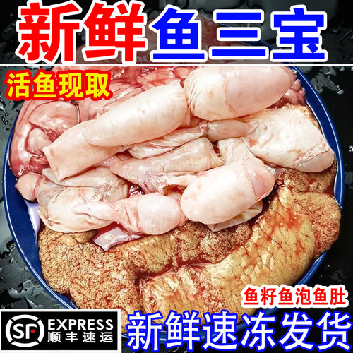 新鲜鱼三宝鱼籽鱼杂鱼泡鱼肚活鱼现杀现取鱼肚鱼鳔冷冻鱼蛋鲢鱼子