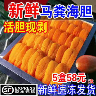 新鲜海胆肉现剥大连马粪海胆鲜活冷冻海胆非刺身餐饮商用纯海胆黄