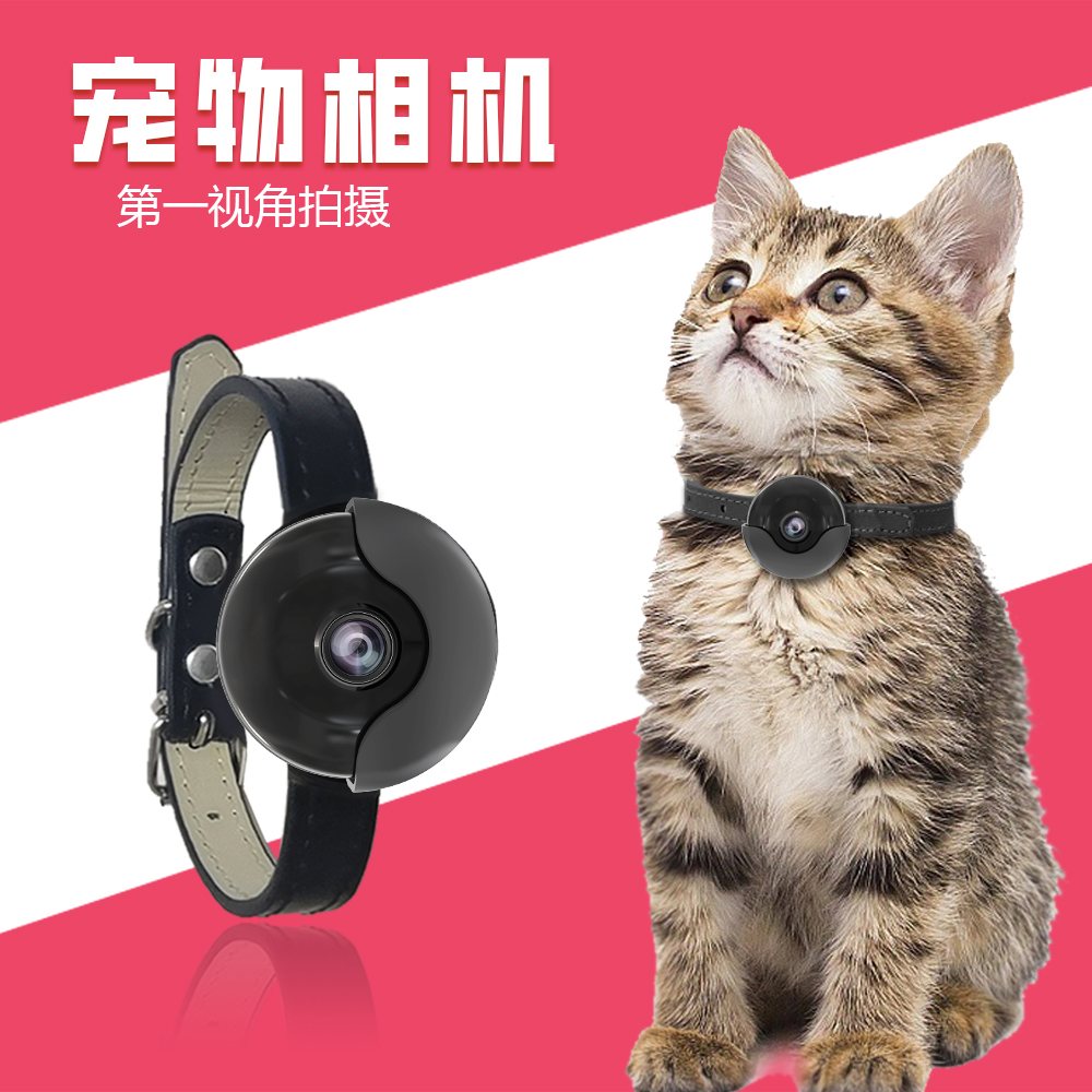 4G宠物猫咪监控挂脖摄像头2024