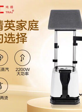 域桥高压蒸汽熨烫机家用挂烫机大功率电熨斗三合一
