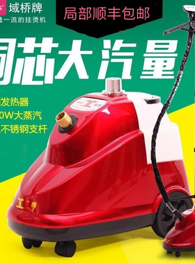 域桥挂烫机家用蒸汽熨斗服装店专用E8T588铜芯小型域桥挂烫机正品