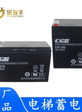 杭西奥电梯救援装置蓄电池松闸电源CGB武汉长光CB1250/1270/1240