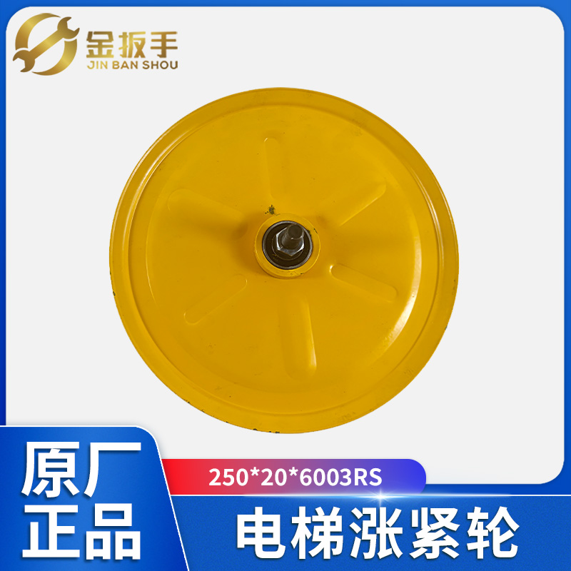 奥德普电梯涨紧轮250*20*6003RS