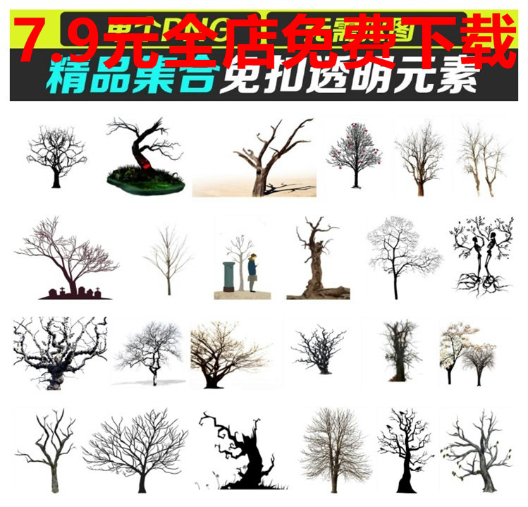 枯树树枝树干png免抠透明图片ps海报设计素材