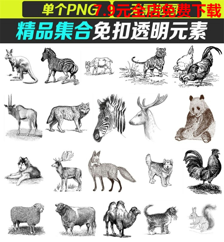 素描动物黑白手绘动物png免抠透明图片装饰美化剪切