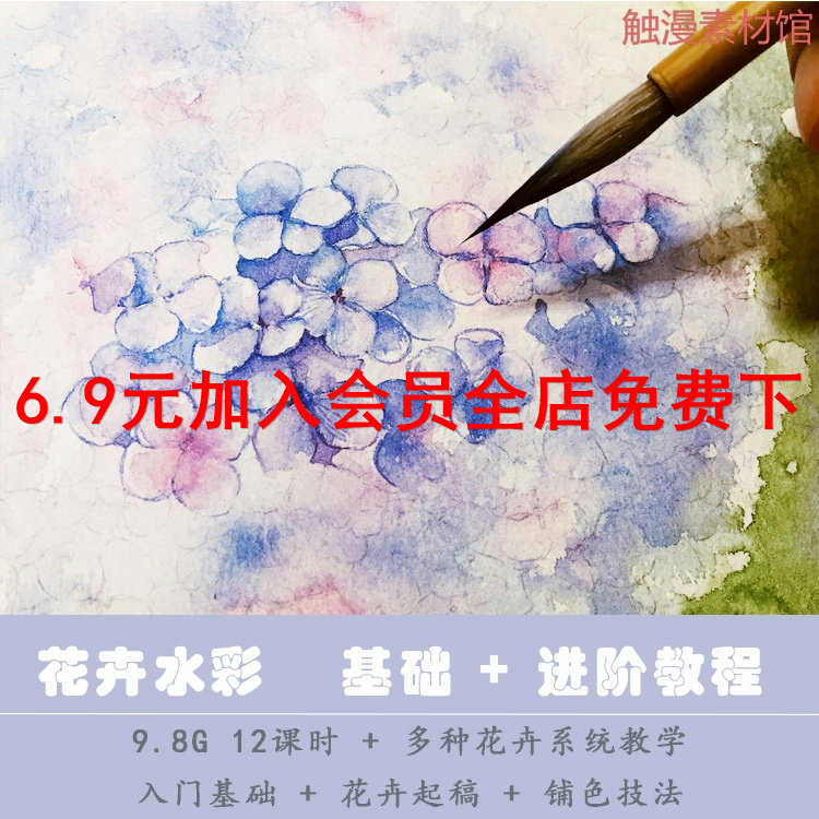 水彩视频 水彩花卉视频 水彩画视频 零基础插画自学 商务/设计服务 设计素材/源文件 原图主图