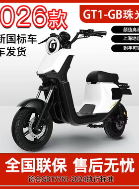 深远电动车可上牌锂电外卖电瓶车