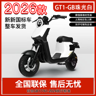 深远电动车新国标长跑王北斗GPS智能车可上牌锂电外卖电瓶车