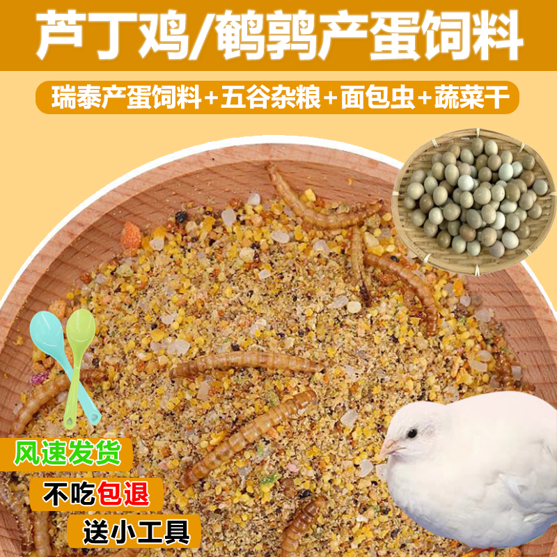 瑞泰芦丁鸡饲料育雏鹌鹑小鸡蓝胸产蛋下蛋食料开口通用饲料 畜牧/养殖物资 畜牧/养殖饲料 原图主图