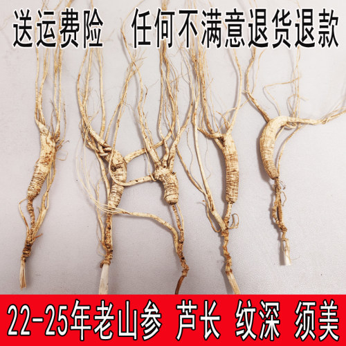 野山参人参林下参礼盒装
