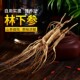 20年林下参长白山人参干参野生老参整枝野山参老山参泡酒煲汤