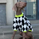 Модные демисезонные шахматы, удерживающий тепло шнурок-держатель, толстовка, домашний питомец