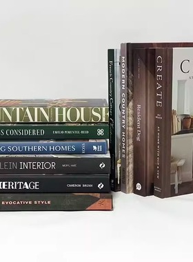  样板间售楼处 现代家居 深色系 侘寂风装饰摆件真书摆件