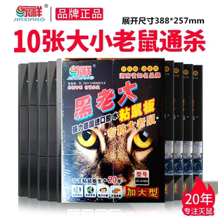 家祥黑老大超强力粘鼠板捉抓沾大老鼠胶贴捕灭鼠器杀老鼠10片装