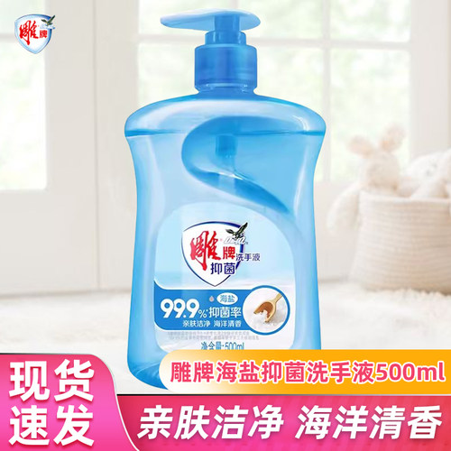 雕牌海盐洗手液按压瓶家用实惠装