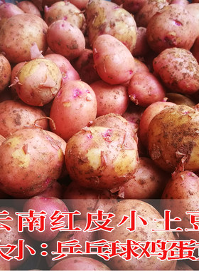 云南新鲜小土豆迷你球现挖洋芋