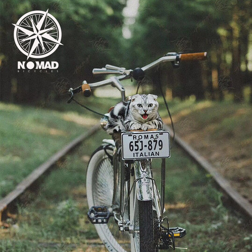 nomad自行车复古单车装饰