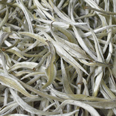 云南景谷大白毫银针秧塔大白茶雪芽头白芽孢头2025年头春茶500克