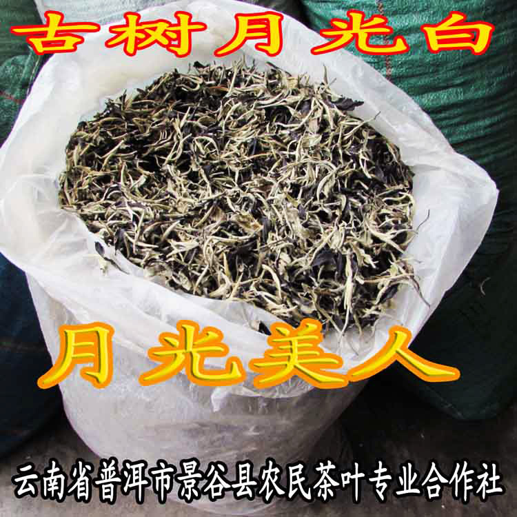 云南白茶月光美人月光白茶古树茶
