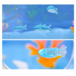 无聊了 海洋馆的大鲸鲨治愈一下 鱼缸模型微景观 DIY手工场景配件