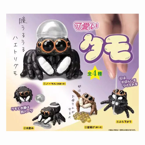 Tarlin日本扭蛋 正版散货 可爱蜘蛛 跳蛛 模型玩具摆件EPOCH