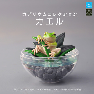 Qualai日本正版散货 青蛙盆景蟾蜍树蛙雨蛙 微景观模型盆栽场景