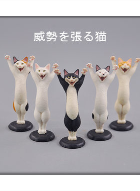 STASTO正品散货 虚张声势的猫咪 立正排队的猫咪 趣味桌面摆件