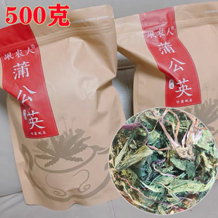 【500克】岷农人蒲公英茶整根带根茶泡水喝新货干货严选甘肃岷县