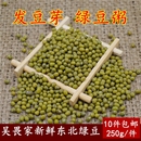 2022年东北黑龙江农家绿豆发芽小绿豆绿豆汤绿非豆芽250g满额 包邮