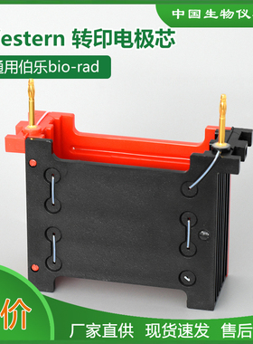 wb转膜电极架转印电泳模块bio-rad 伯乐 westen转膜配件1703935