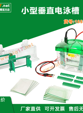 小型垂直蛋白电泳槽sds-page 1658001通用Bio-Rad/伯乐Mini-Pro