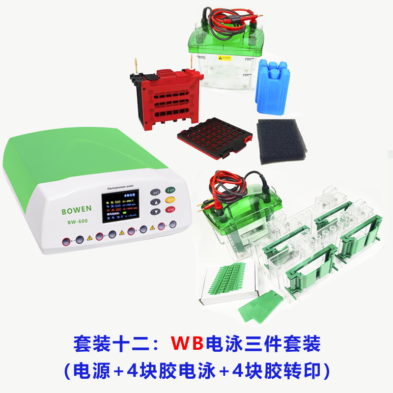 通用Bio-Rad/伯乐 Mini-Protean/天能 WB小型垂直电泳转印槽套装,工业油品/胶粘/化学/实验室用品,其他实验室设备,淘宝优惠券,粉丝福利购,淘宝优惠卷
