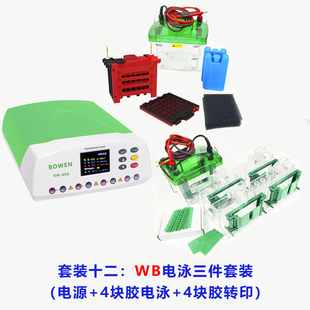 通用Bio-Rad/伯乐 Mini-Protean/天能 WB小型垂直电泳转印槽套装
