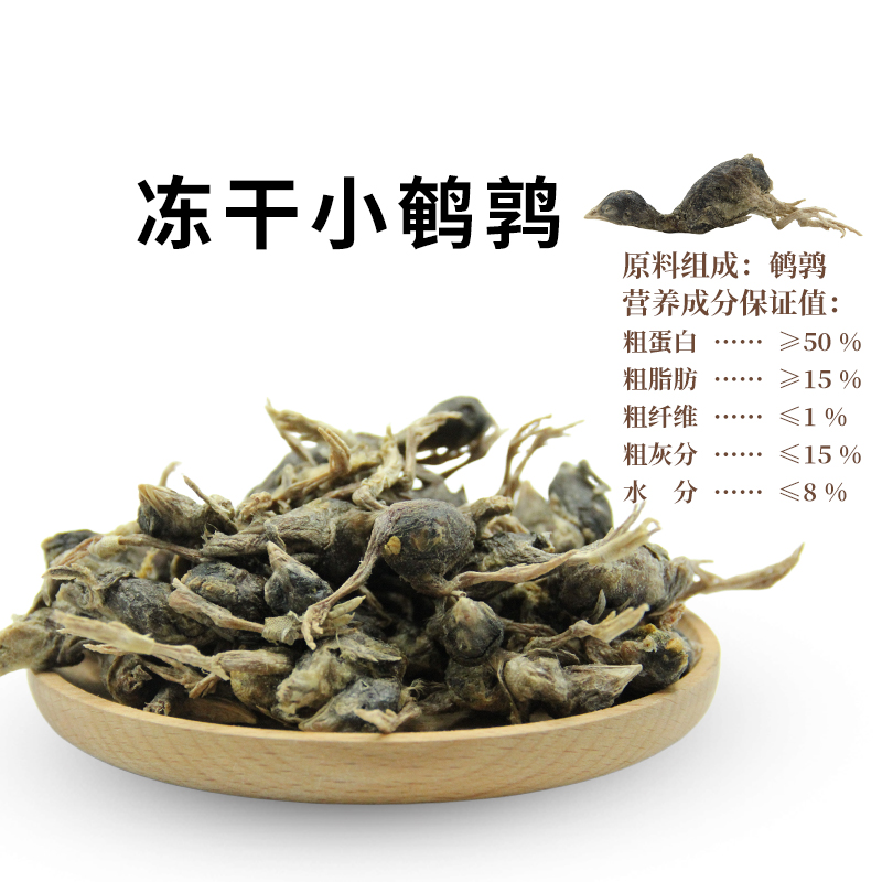 猫咪零食冻干小鹌鹑宠物食品