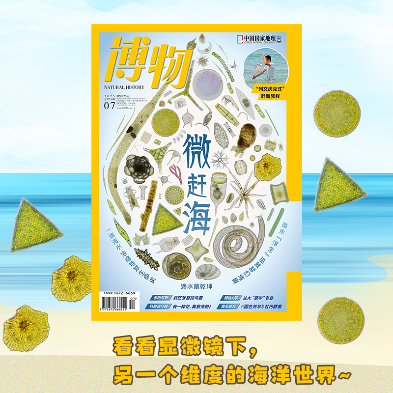 【微赶海】 博物杂志2025年7期/月刊   海水微观察/浮游生物“族谱” 中国国家地理旗舰店
