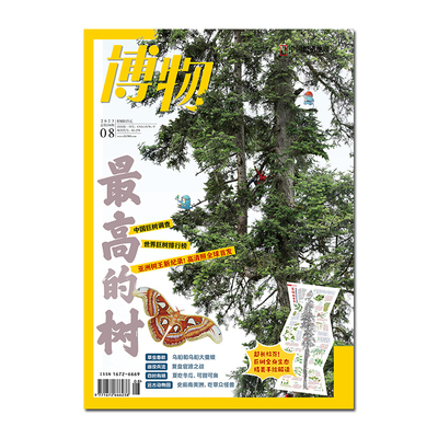 博物杂志2023年8月刊最高的树