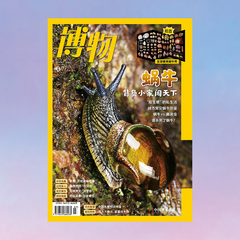 博物杂志2023年7月刊蜗牛