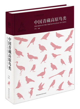 中国青藏高原鸟类 8开 精装硬壳版 中国野生鸟类系列丛书