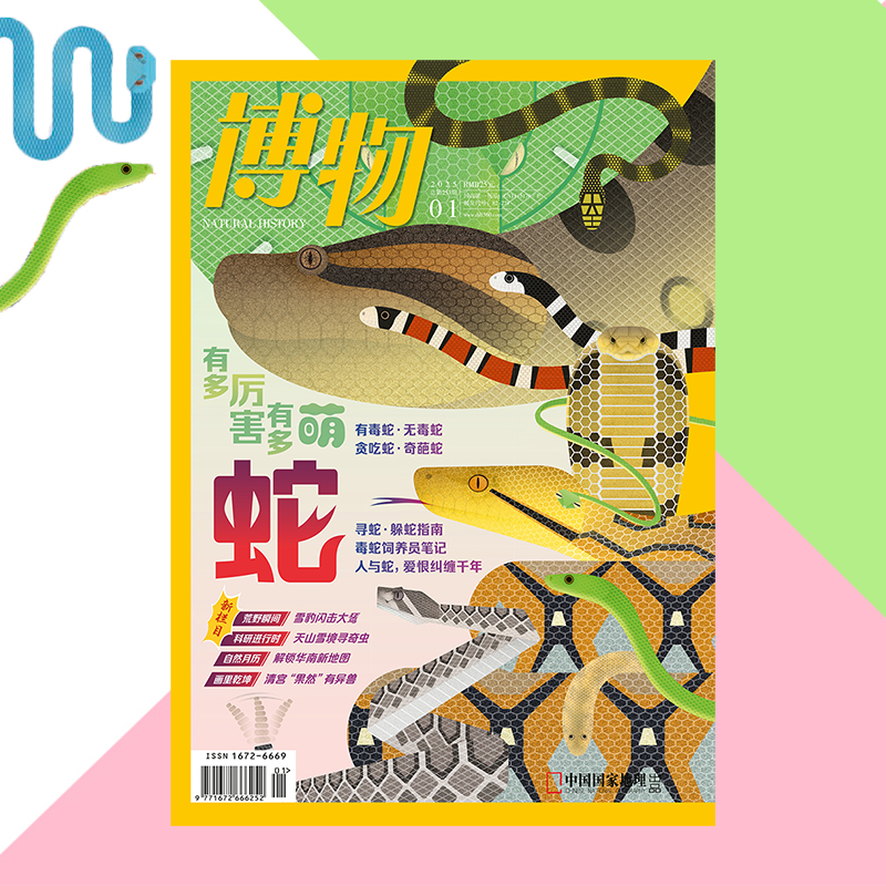【202501】蛇 博物杂志2025年1月刊 雪蝎蛉  中国北方海兽 中国纸币 甘蔗 自然月历珠海篇 雪豹猎大鵟中国国家地理旗舰店