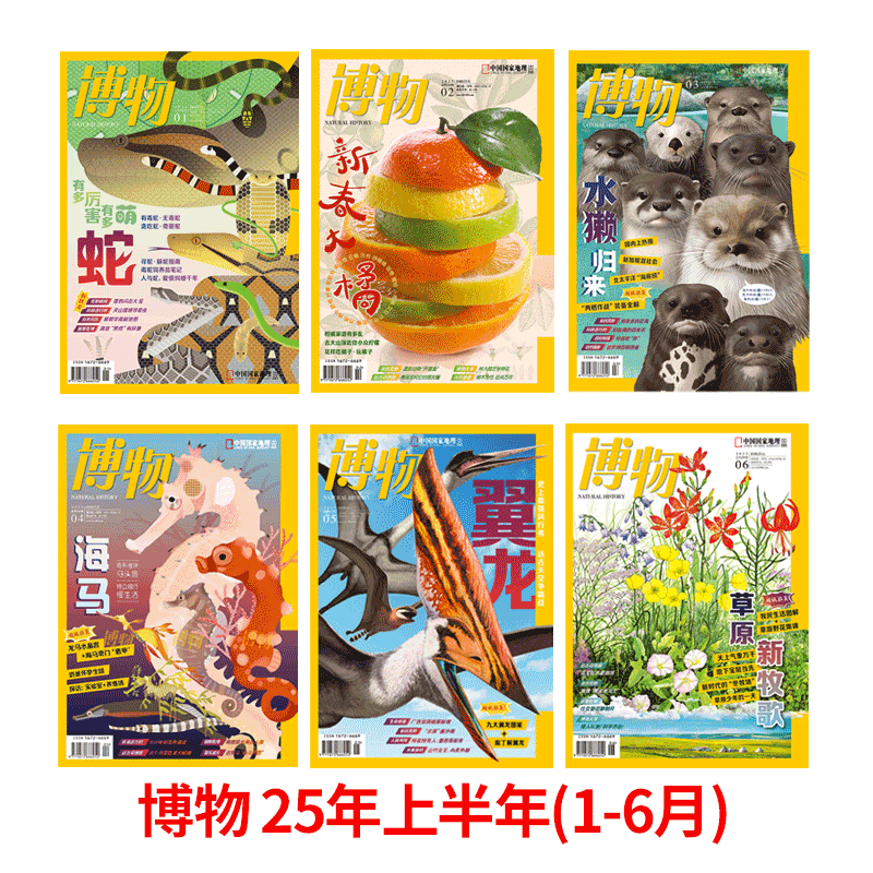 【半年打包】博物杂志2025年1-2-3-4-5-6期 共6本 上半年打包 蛇/柑橘/水獭/海马/翼龙/草原牧歌 中国国家地理旗舰店/半年订阅