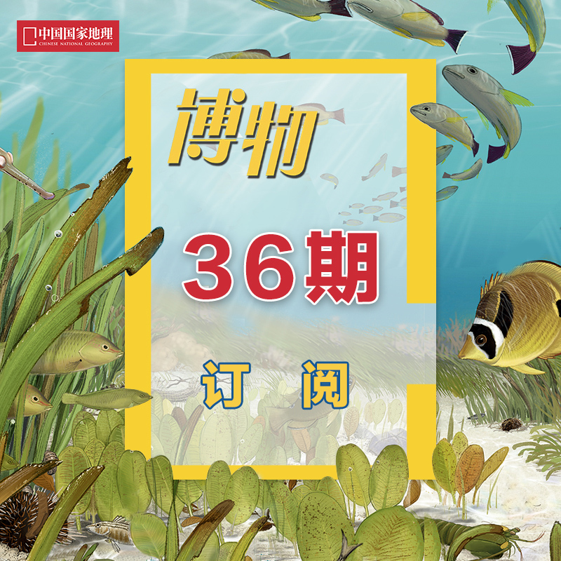 博物杂志3年36期订阅