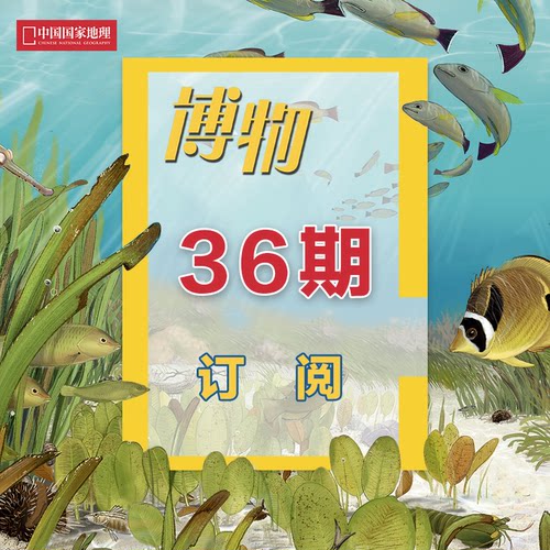 博物杂志3年36期订阅