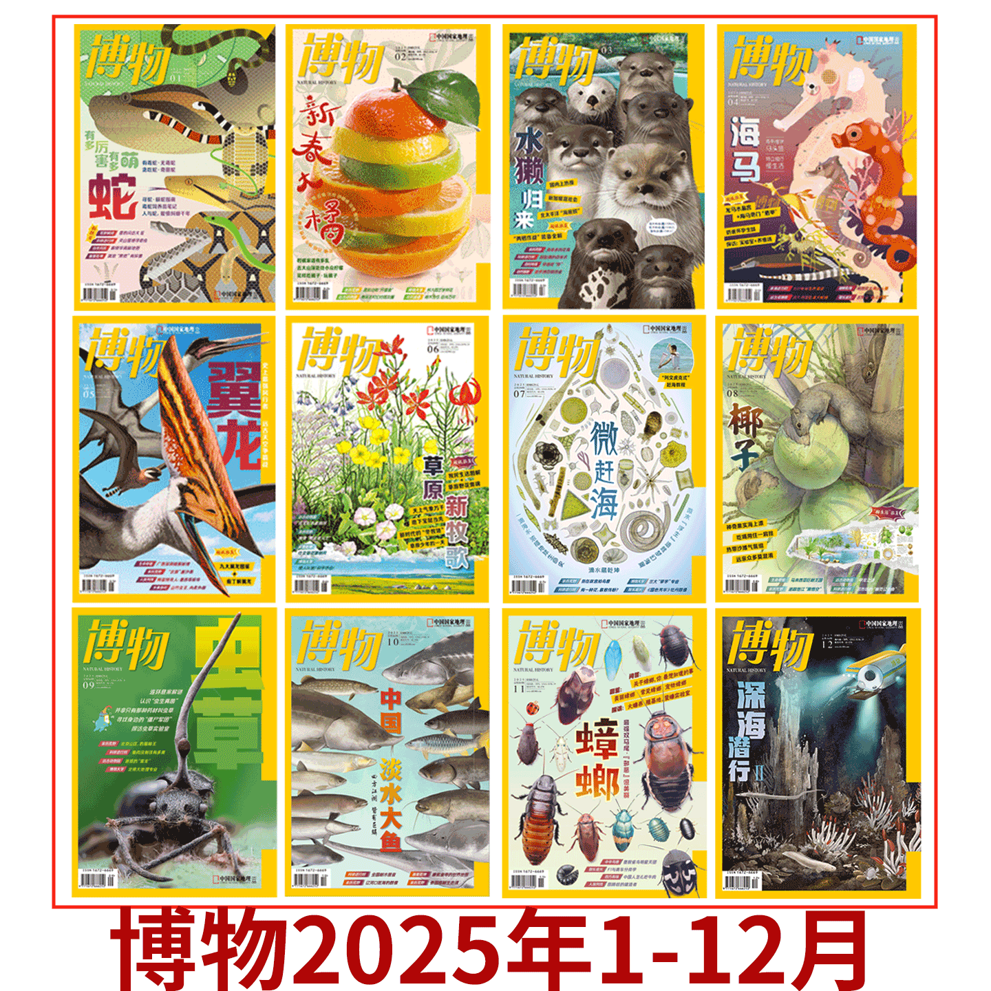 【半年/全年打包/订阅】博物杂志2025年1-12期可选 全年/半年订阅  蛇/柑橘/水獭/海马/翼龙/  中国国家地理旗舰店