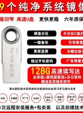 顺丰装机纯净系统U盘Win10/11/7