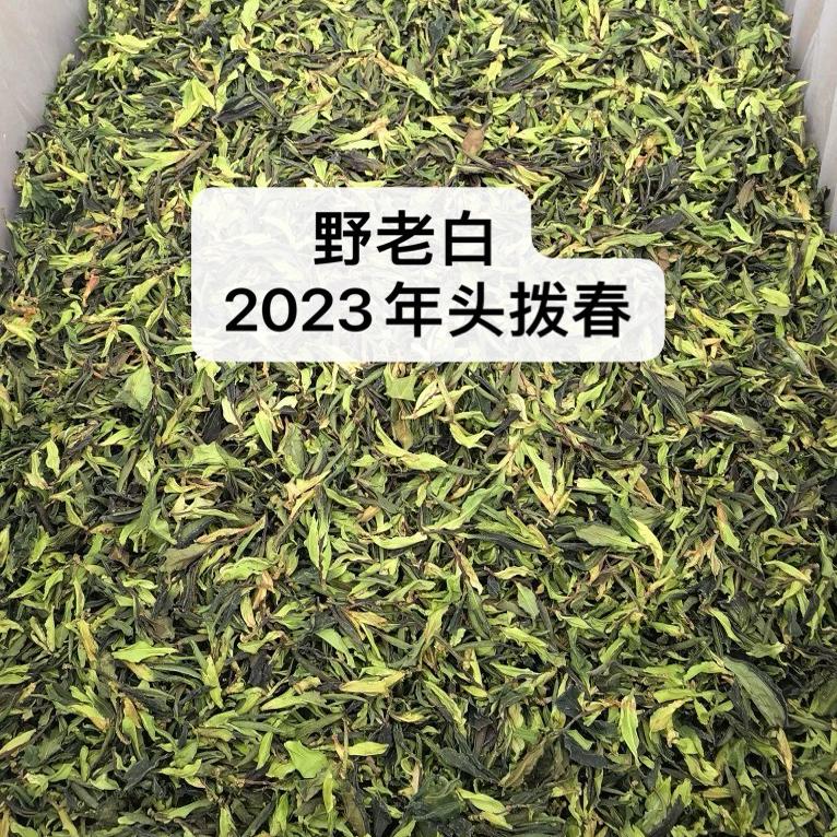 云南野生白茶 永德大雪山古树野生白茶散茶2023年明前春