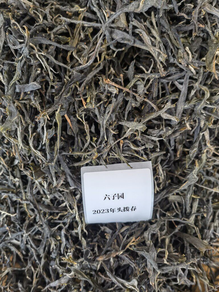冲冠特价 普洱生茶 镇康古树1号六子园古树春茶散茶 2023年
