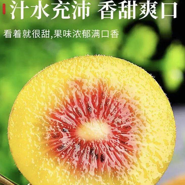 【中果10斤】红心红阳猕猴桃果奇异果/猕猴桃