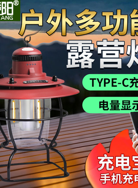 俱竟阳户外露营插地折叠灯架支架铝合金防水照明营地挂架野营挂灯