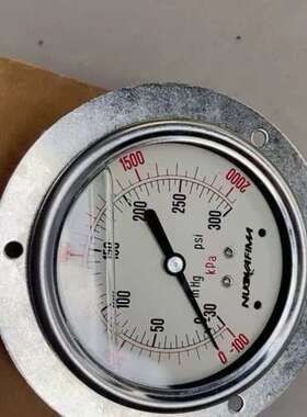 检修意大利飞马nuovafima高精度真空复合液压压力表，量程-详询